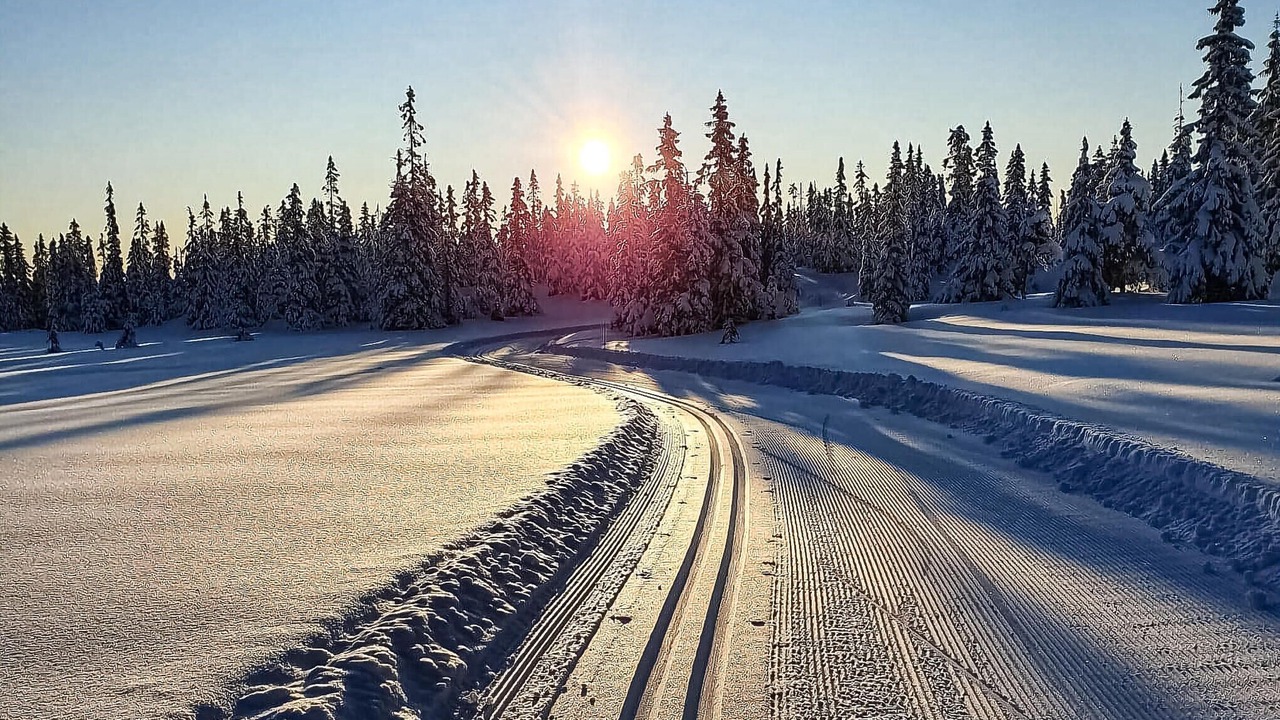 Photo of Others in Sjusjoen