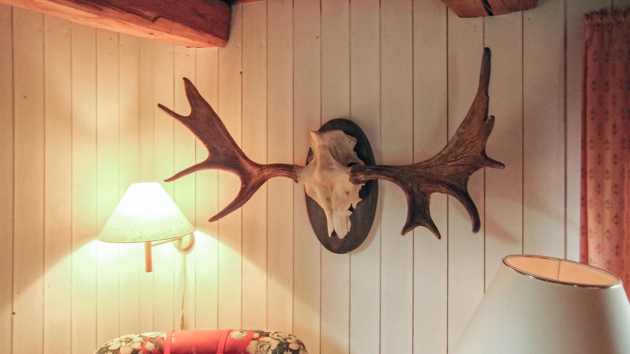 Photo of Bedroom in Gusum
