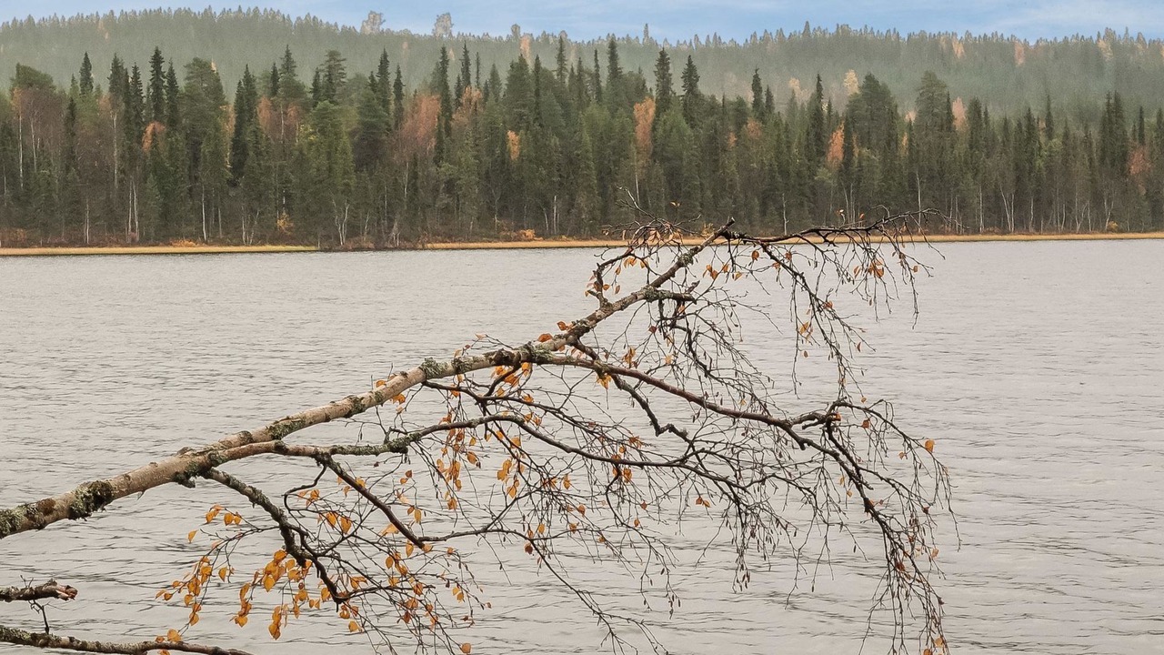 Photo of Others in Salla