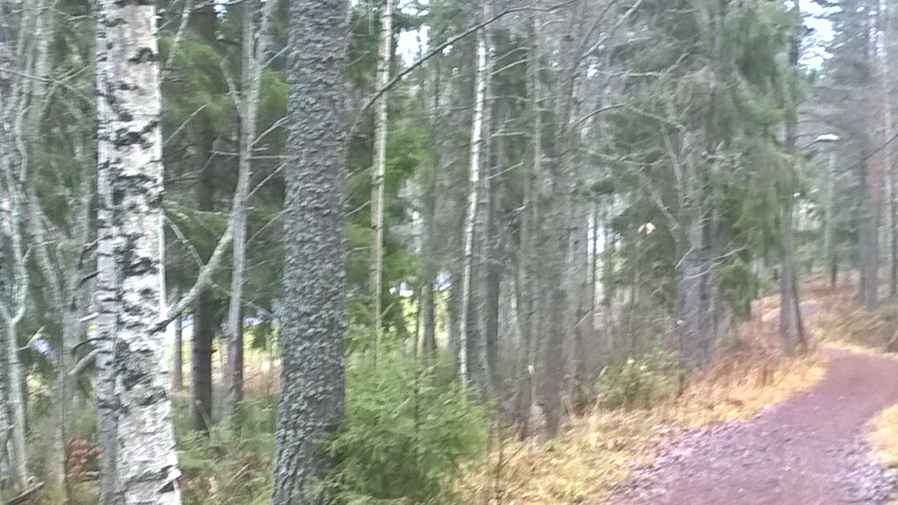 Photo of Others in Lulea