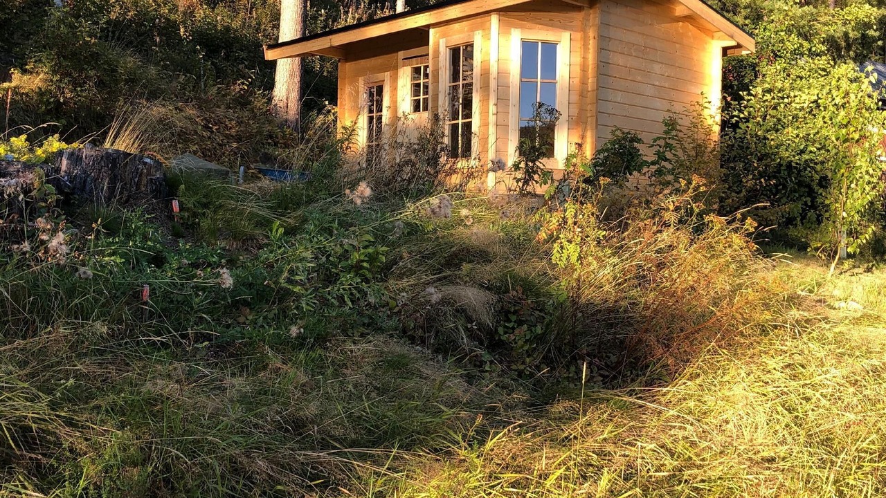 Photo of Others in Solleftea Municipality