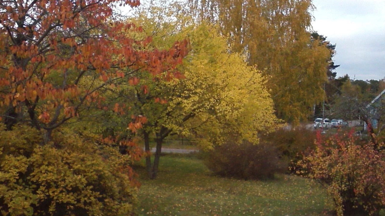 Photo of Outdoor in Ruda