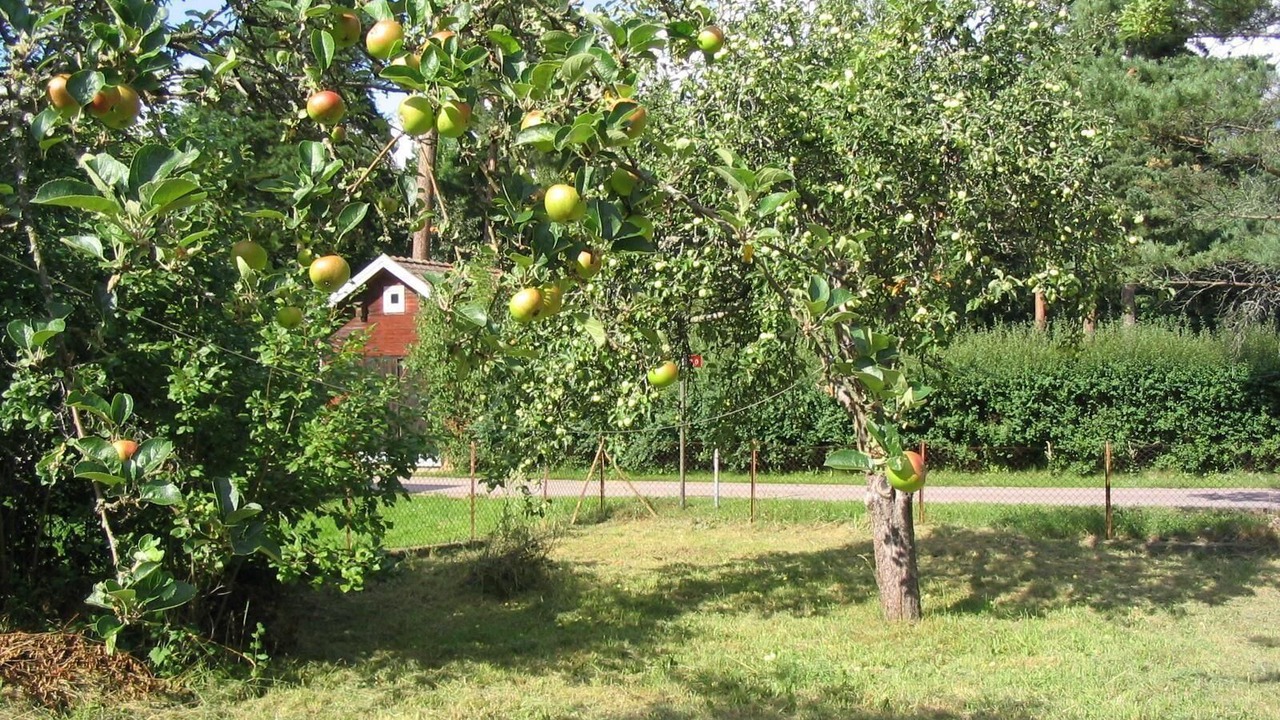 Photo of Outdoor in Ruda