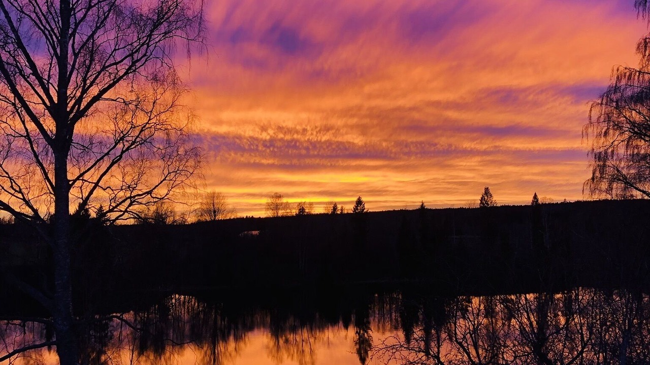 Photo of Others in Avesta