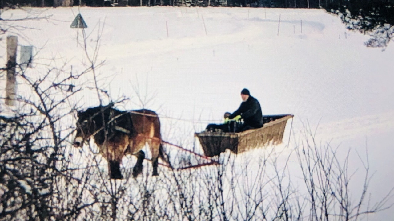 Photo of Others in Avesta