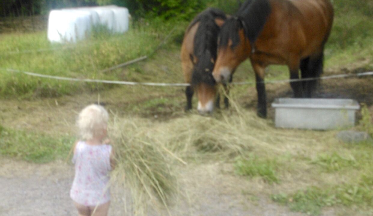 Photo of Others in Avesta