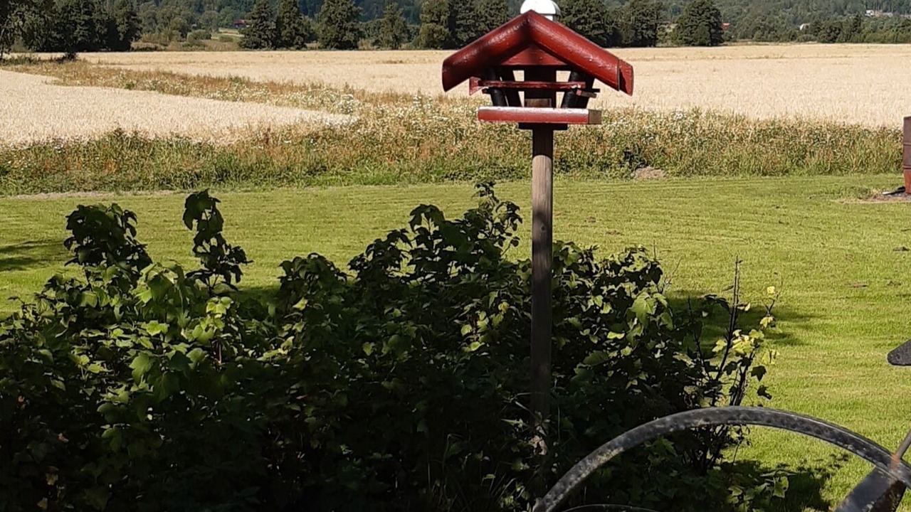 Photo of Outdoor in Alvhem