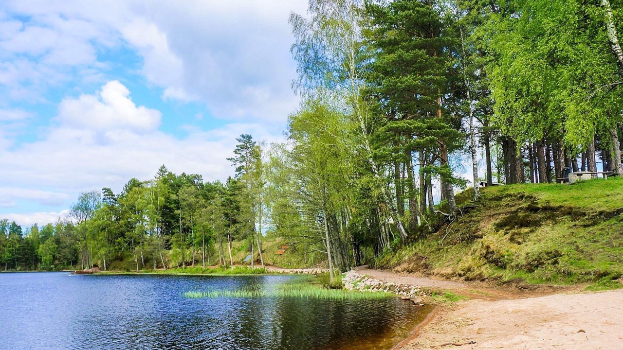 Photo of Others in Sandhem