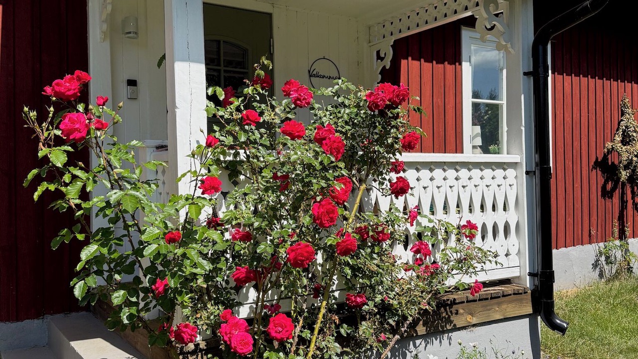 Photo of Outdoor in Vimmerby