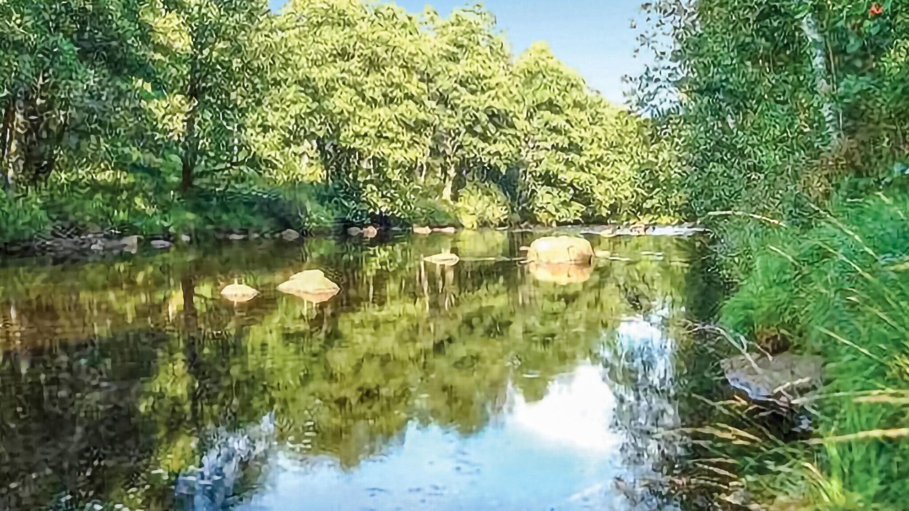 Photo of Others in Dyreborg