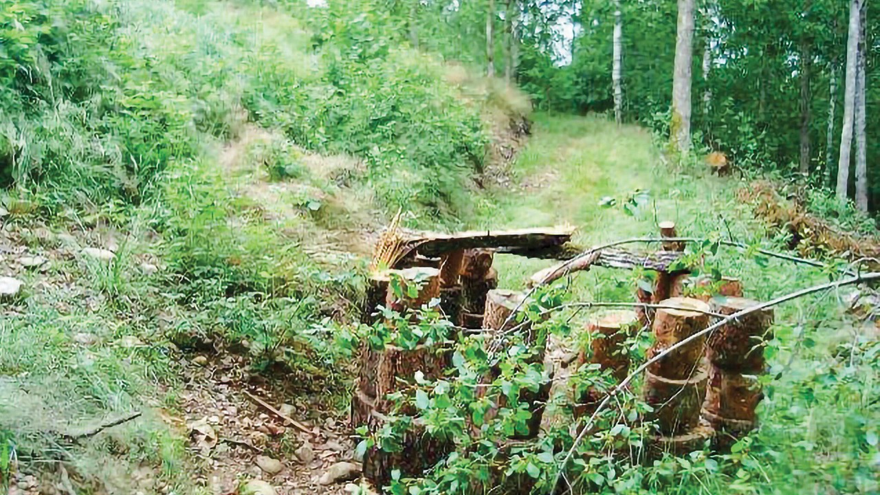 Photo of Others in Dyreborg
