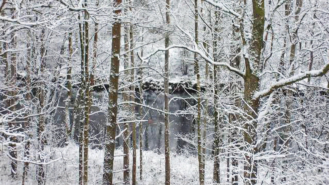 Photo of Others in Dyreborg