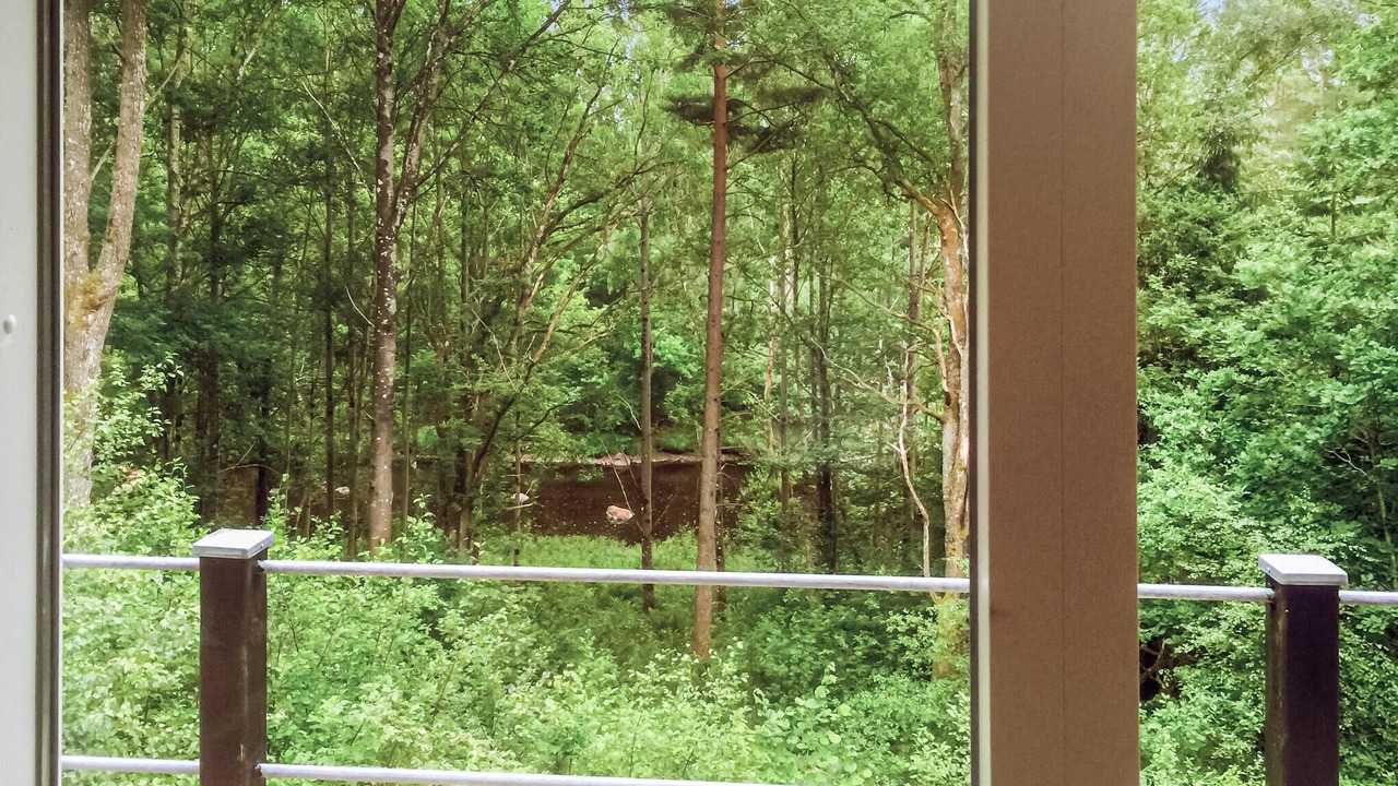 Photo of Bedroom in Dyreborg