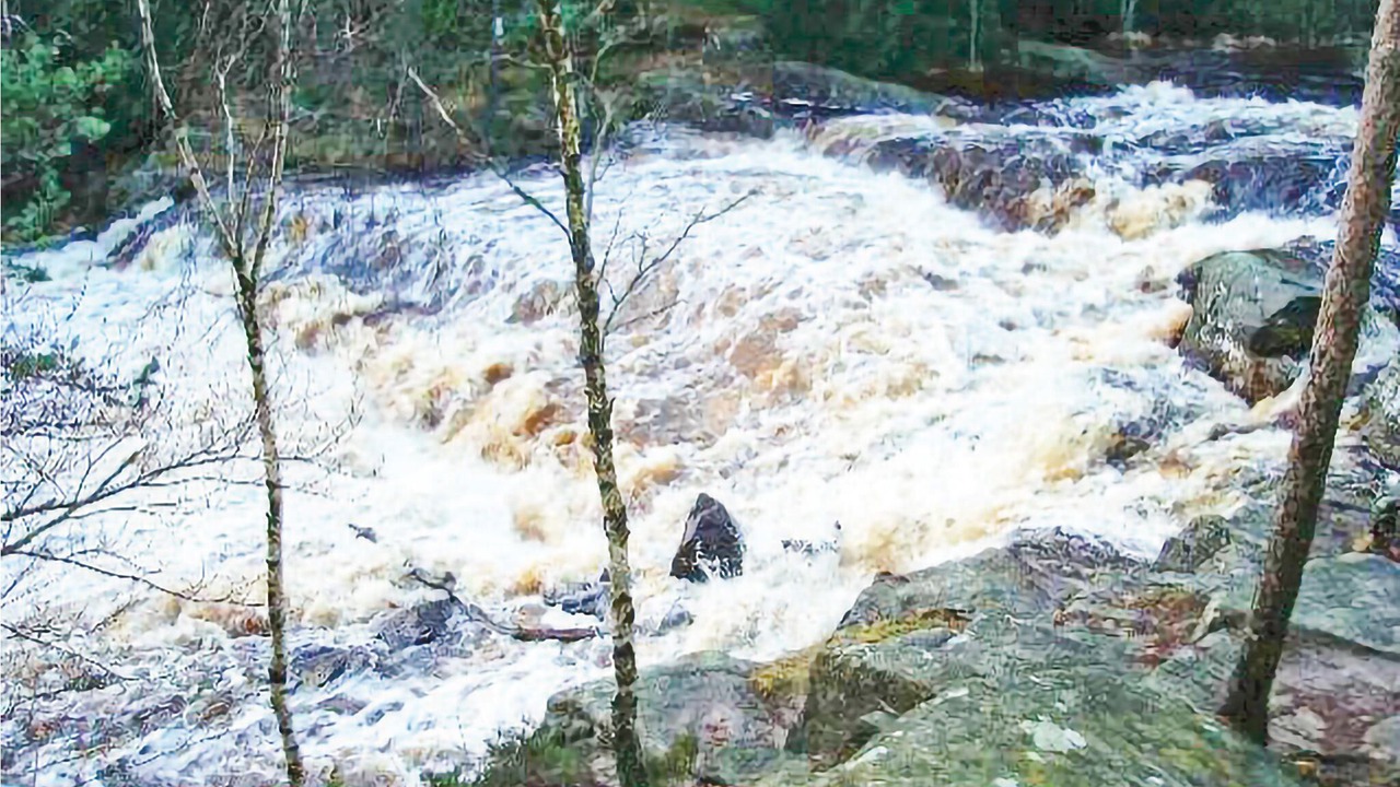 Photo of Others in Dyreborg
