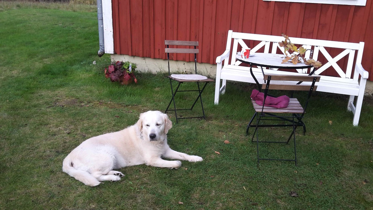 Photo of Outdoor in Gronskara