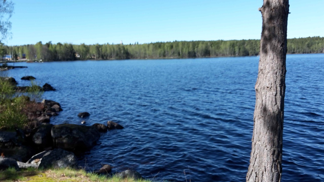 Photo of Others in Gronskara