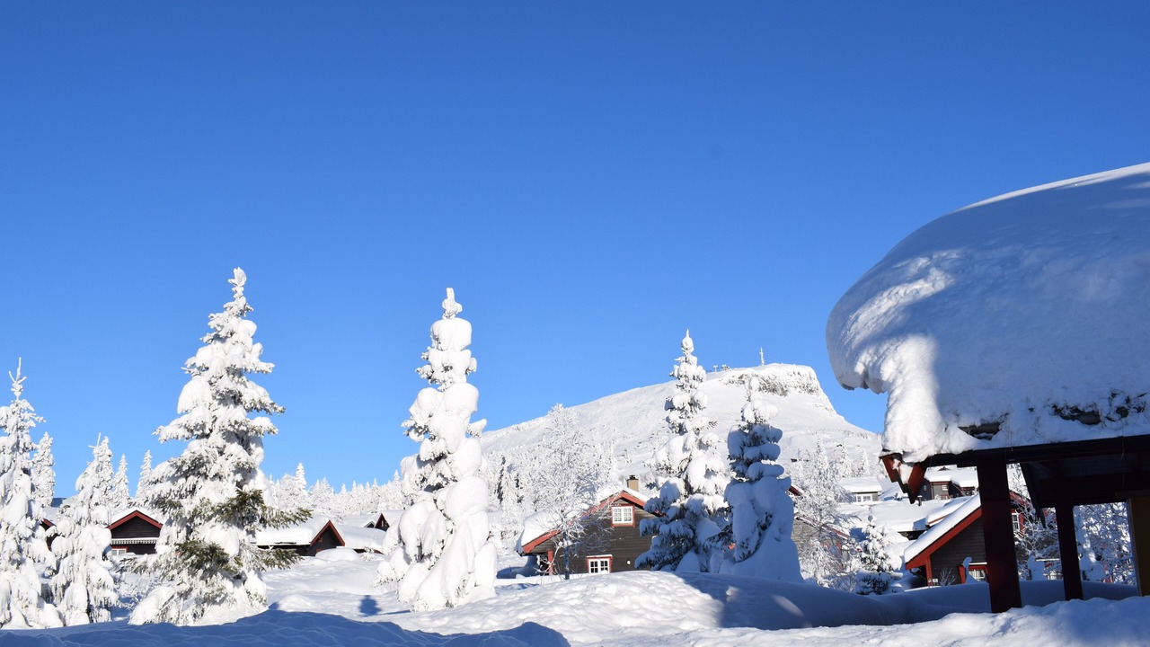 Photo of Outdoor in Svingvoll