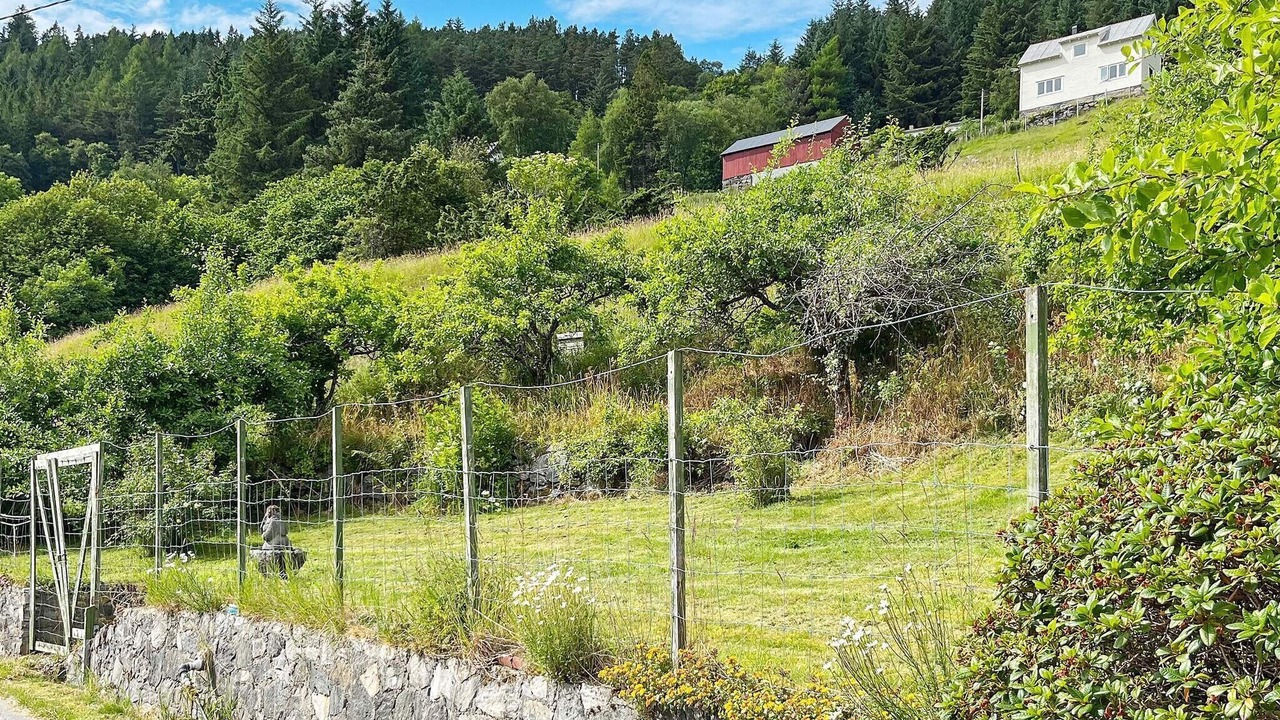 Photo of Outdoor in Barmen