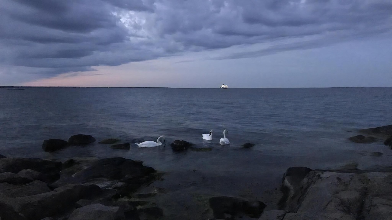 Photo of Others in Oskarshamn