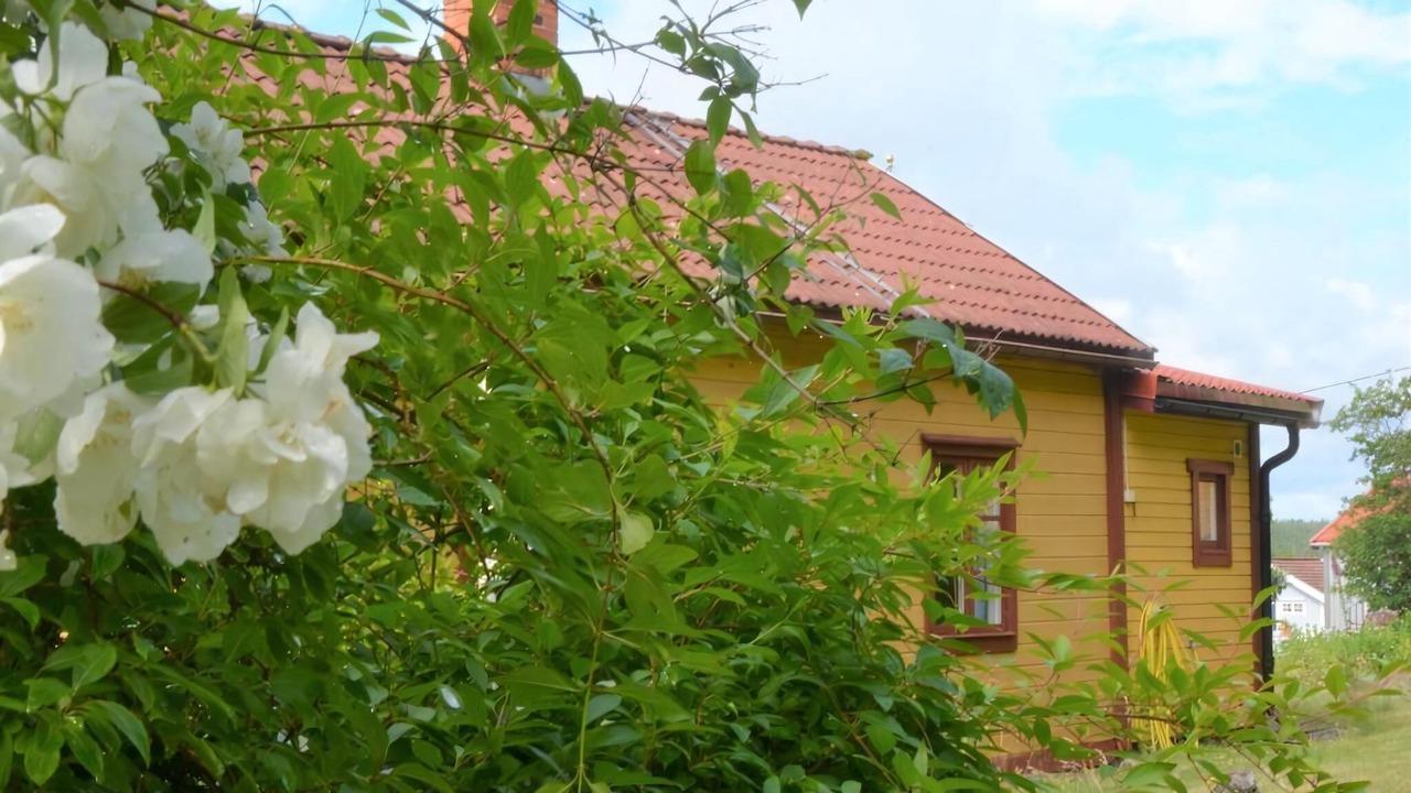 Photo of Others in Vastervik Municipality
