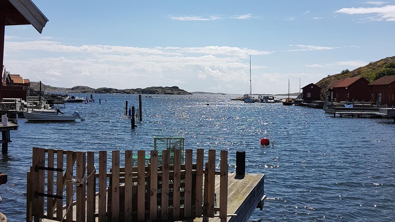 Photo of Others in Halleviksstrand