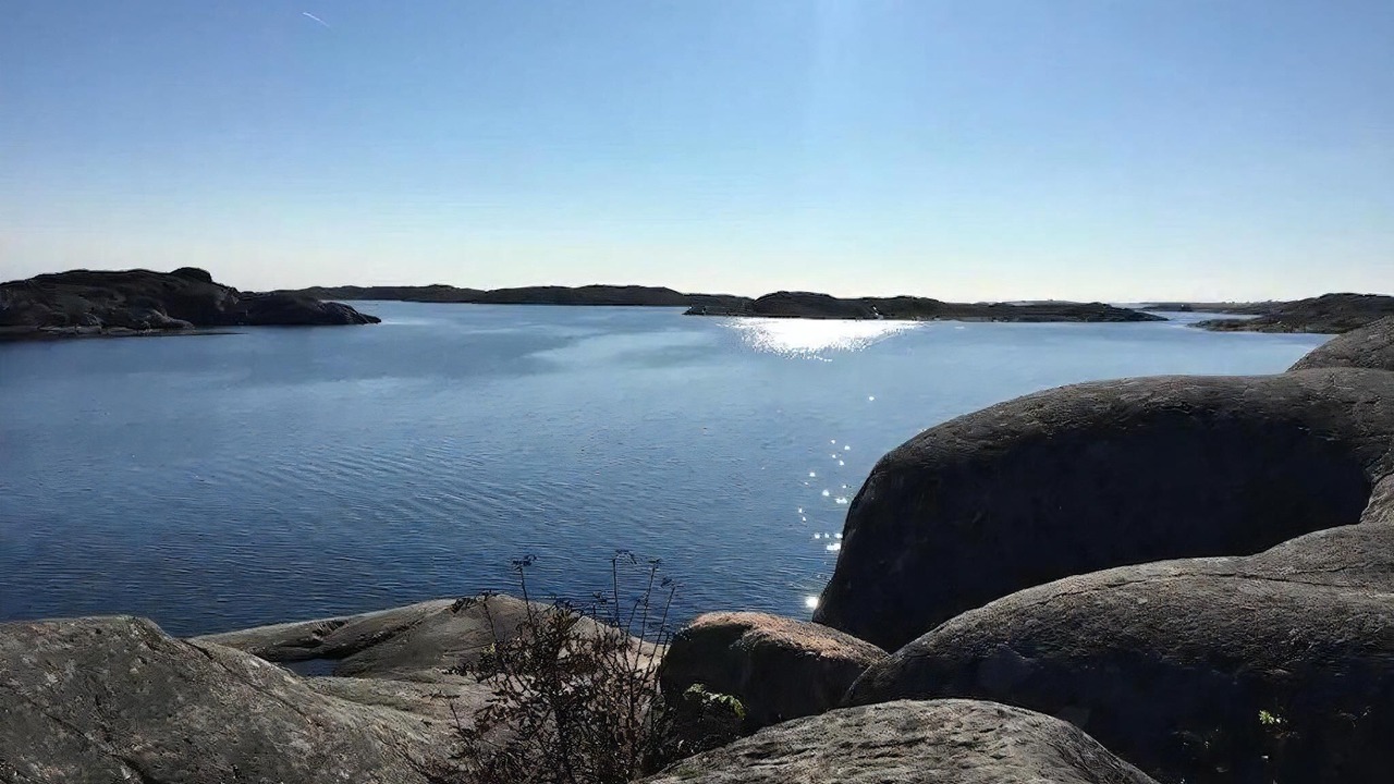Photo of Others in Halleviksstrand