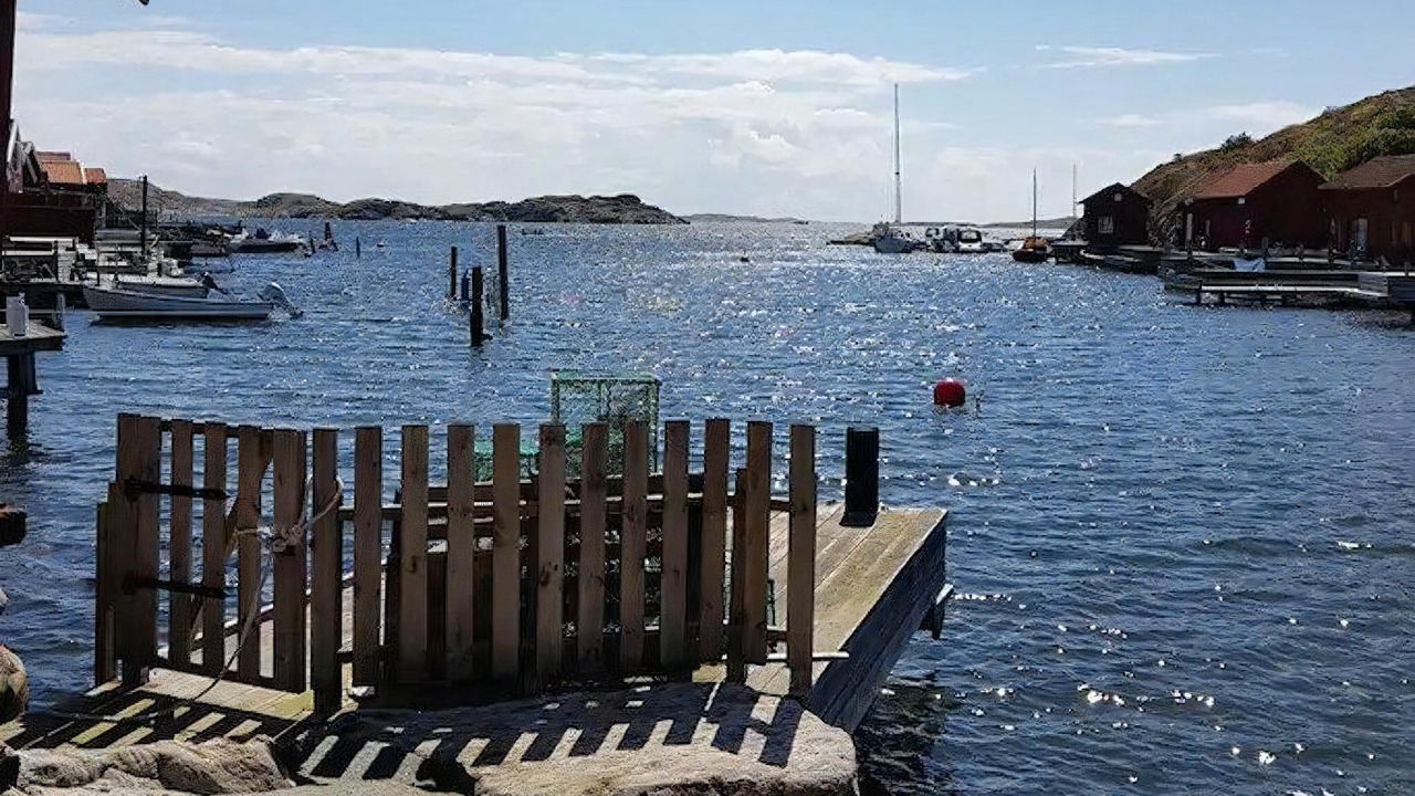 Photo of Others in Halleviksstrand
