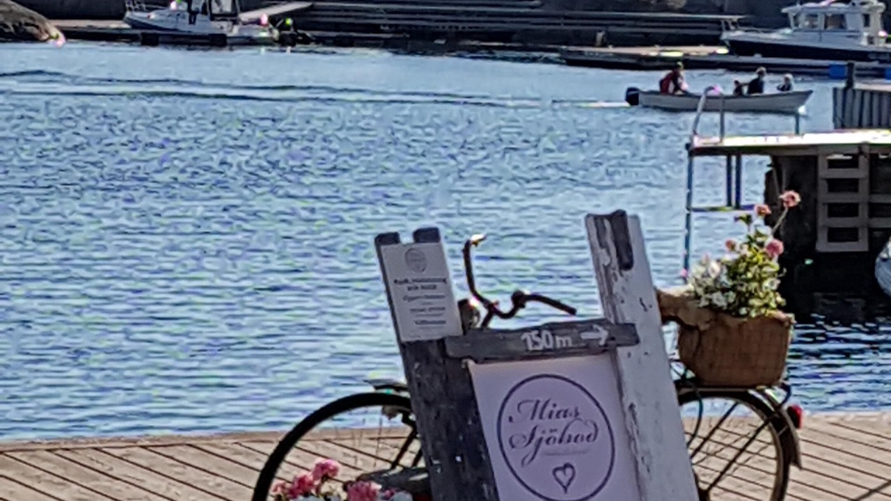 Photo of Others in Halleviksstrand