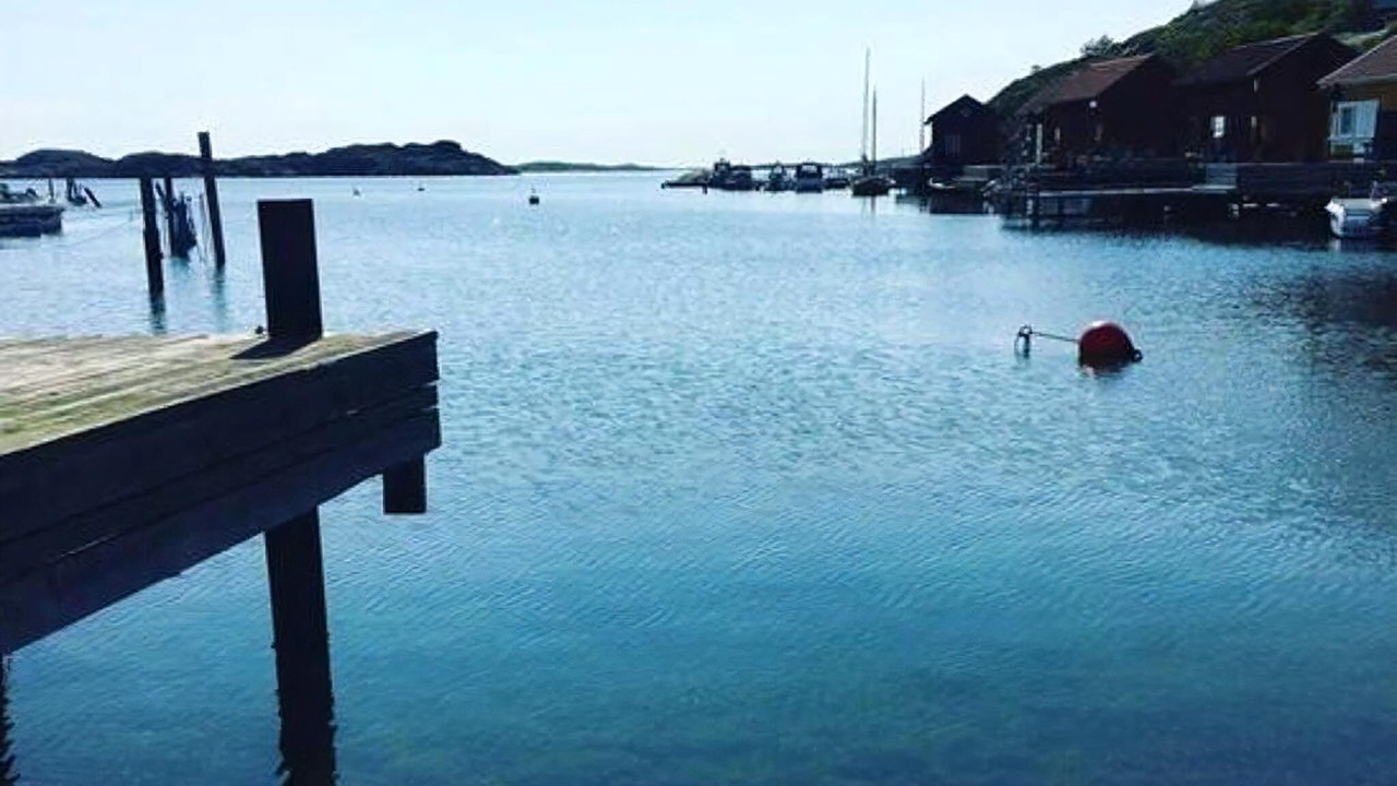 Photo of Others in Halleviksstrand