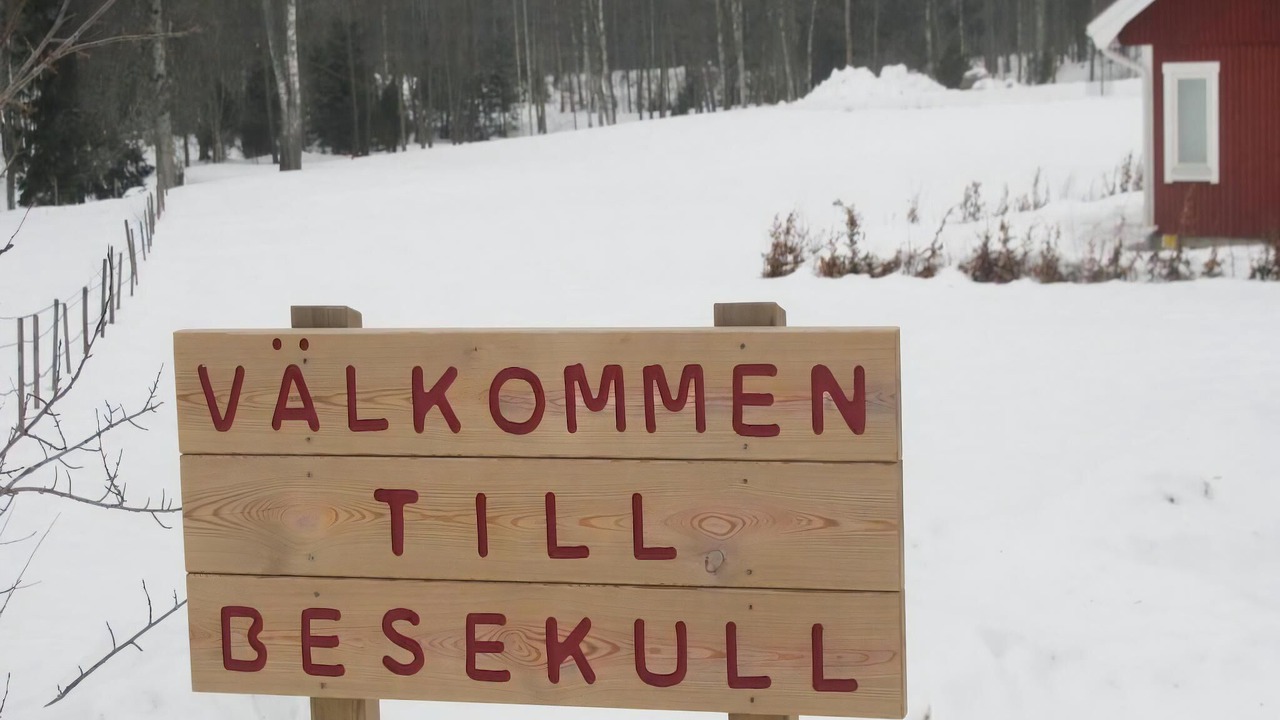 Photo of Others in Sandsjofors
