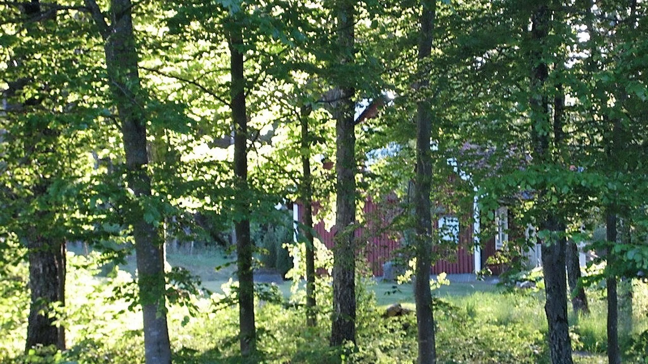 Photo of Others in Horby