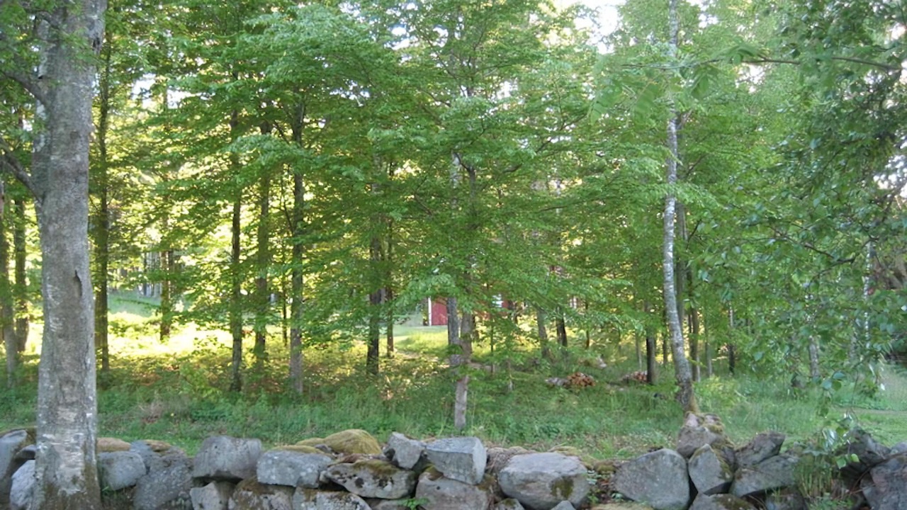 Photo of Others in Horby