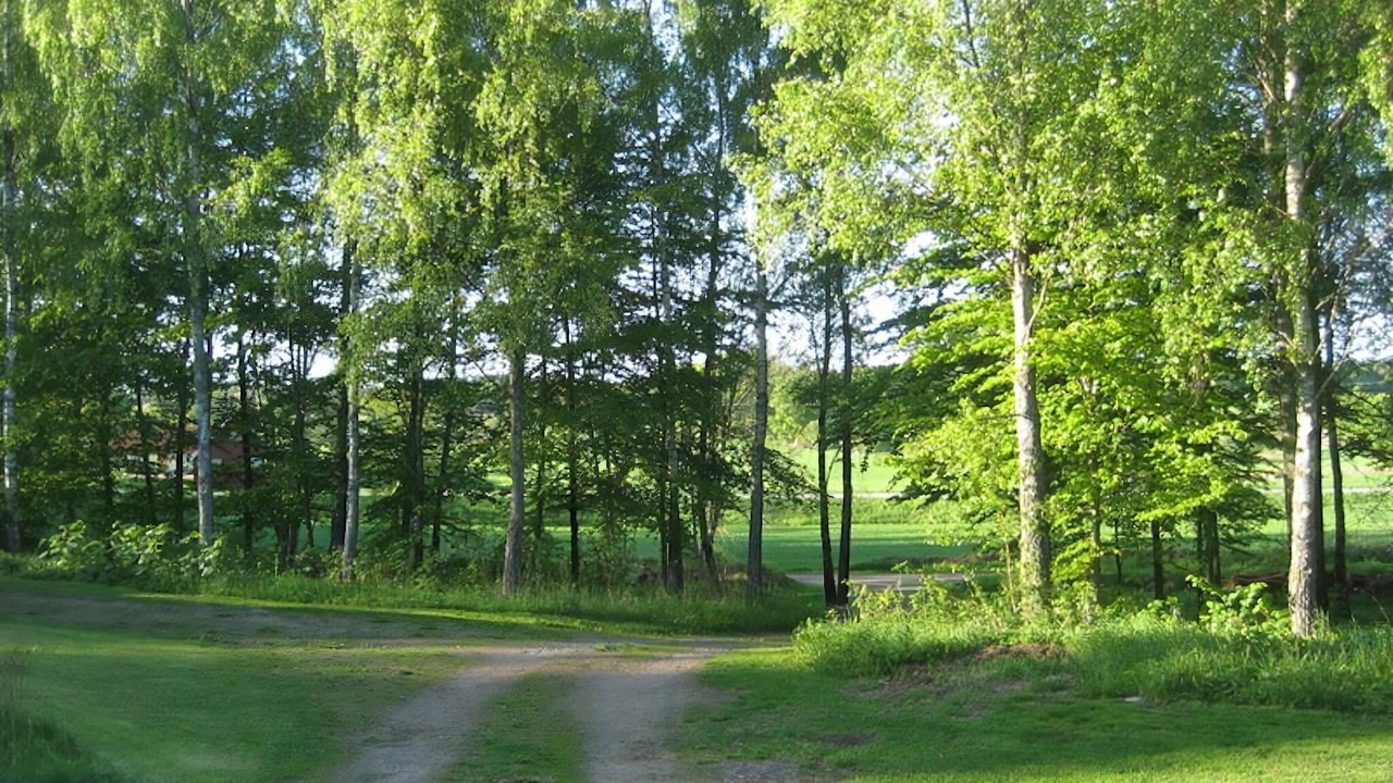 Photo of Others in Horby