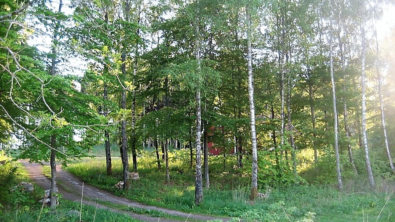 Photo of Others in Horby