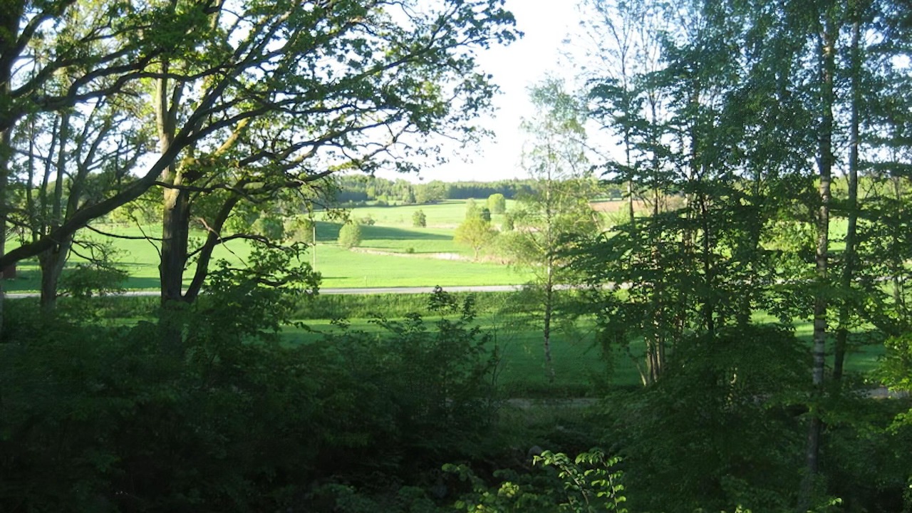 Photo of Others in Horby