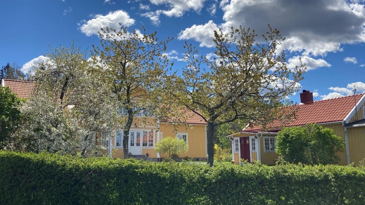 Photo of Others in Norrkoping O