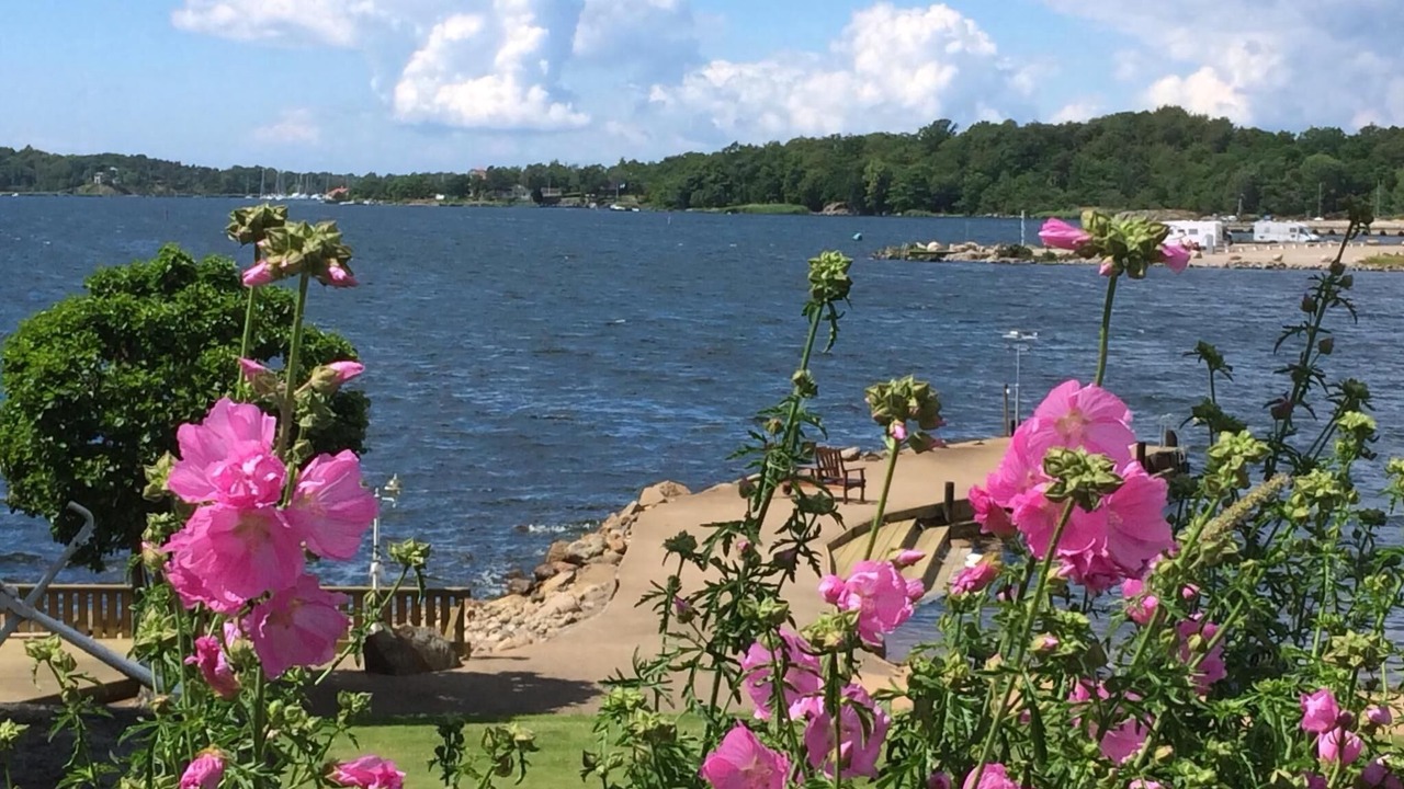 Photo of Others in Ronneby