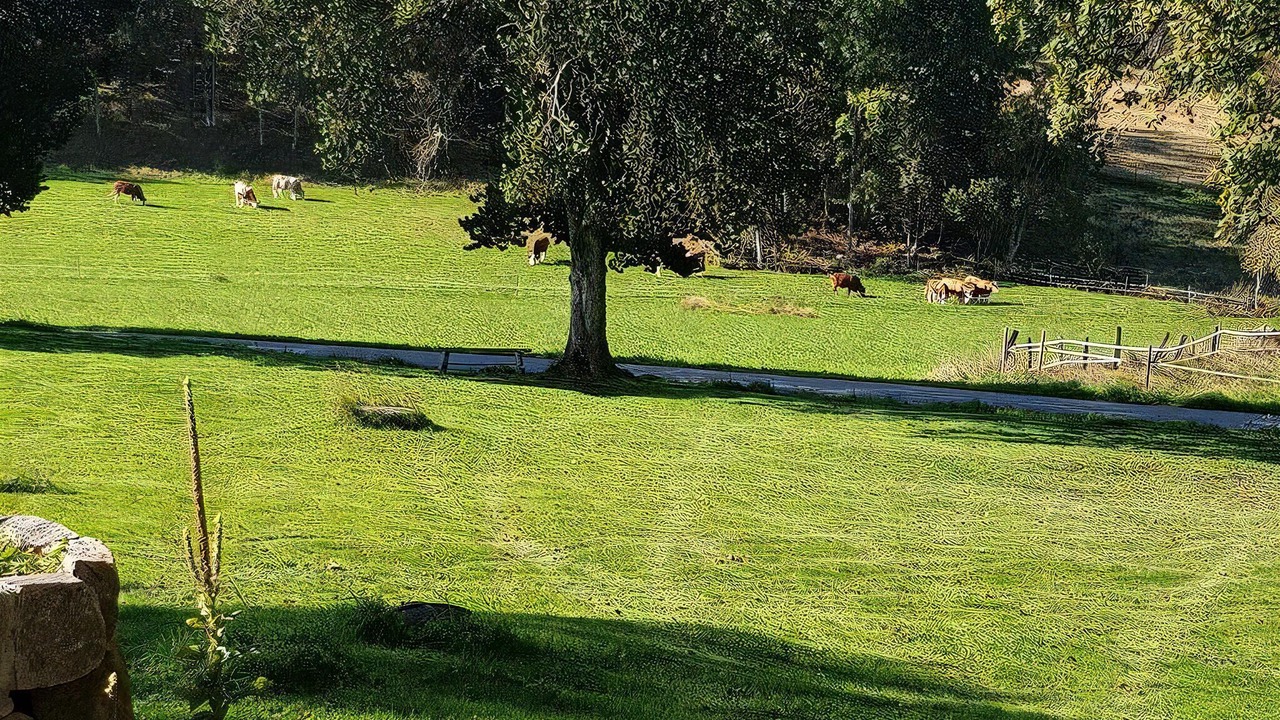 Photo of Others in Varnamo