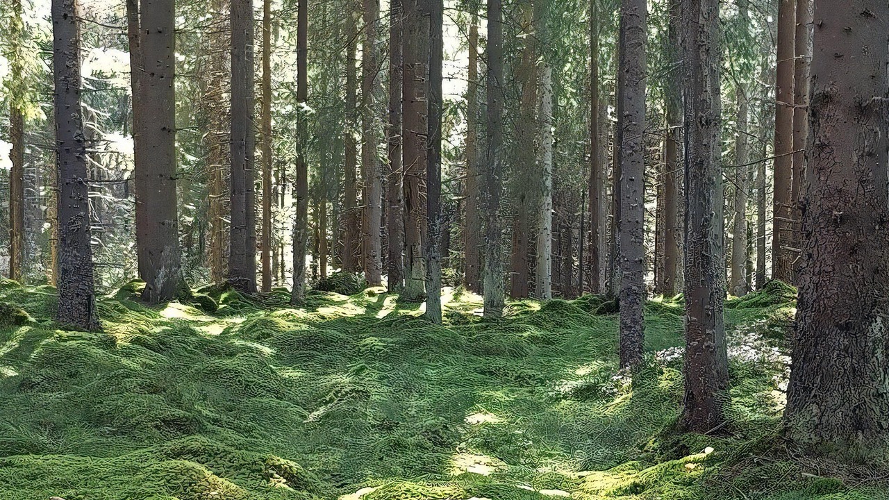 Photo of Others in Varnamo