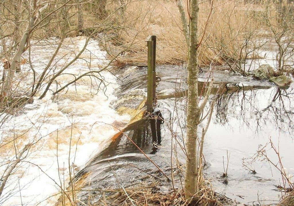 Photo of Others in Rockneby