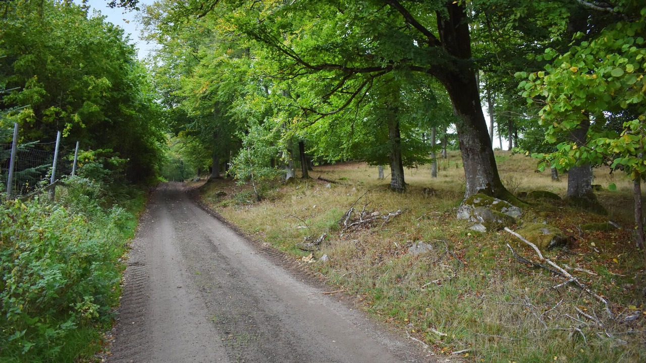 Photo of Others in Ostra Sonnarslov