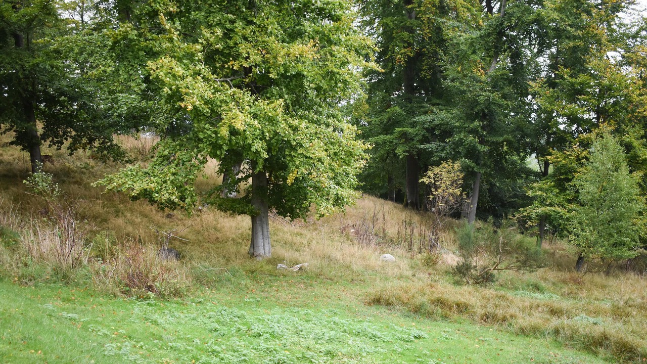 Photo of Others in Ostra Sonnarslov