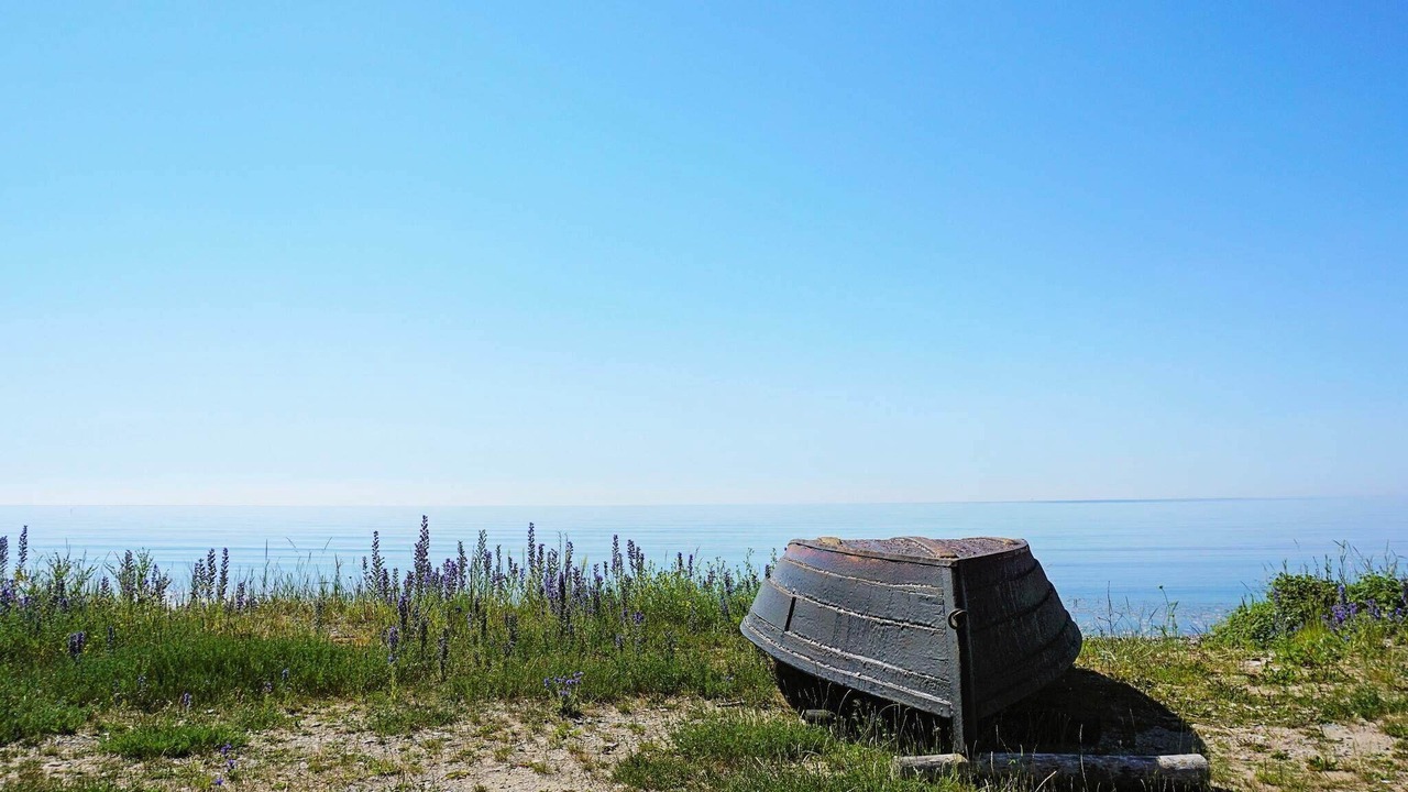 Photo of Others in East Visby