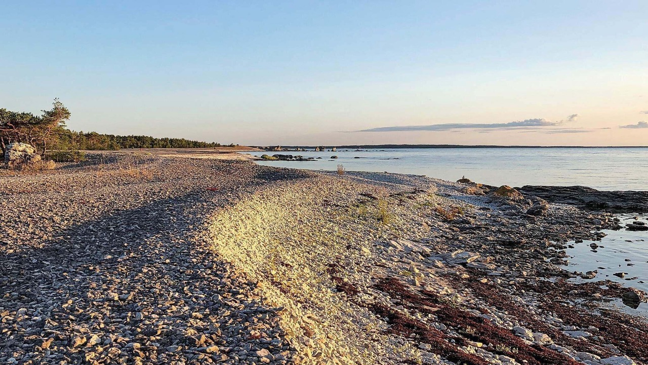 Photo of Others in East Visby