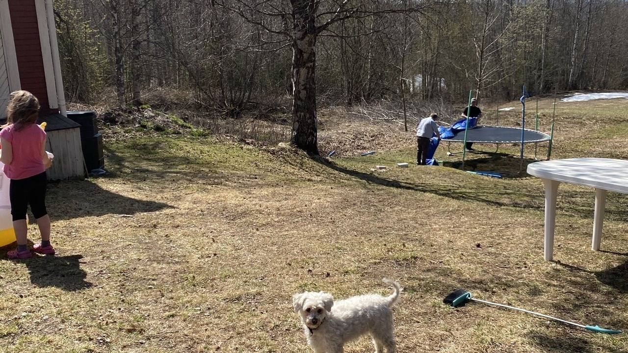 Photo of Outdoor in Bjurholm