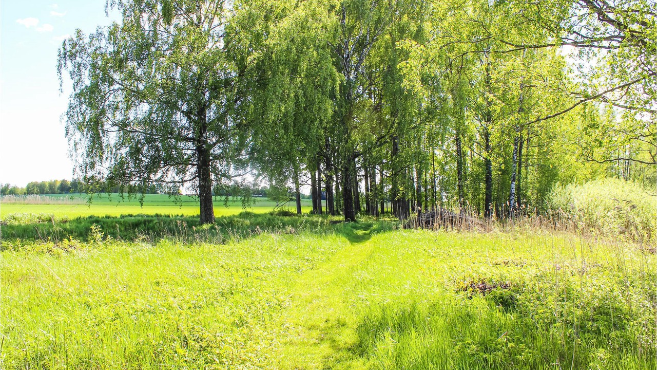 Photo of Others in Orebro County