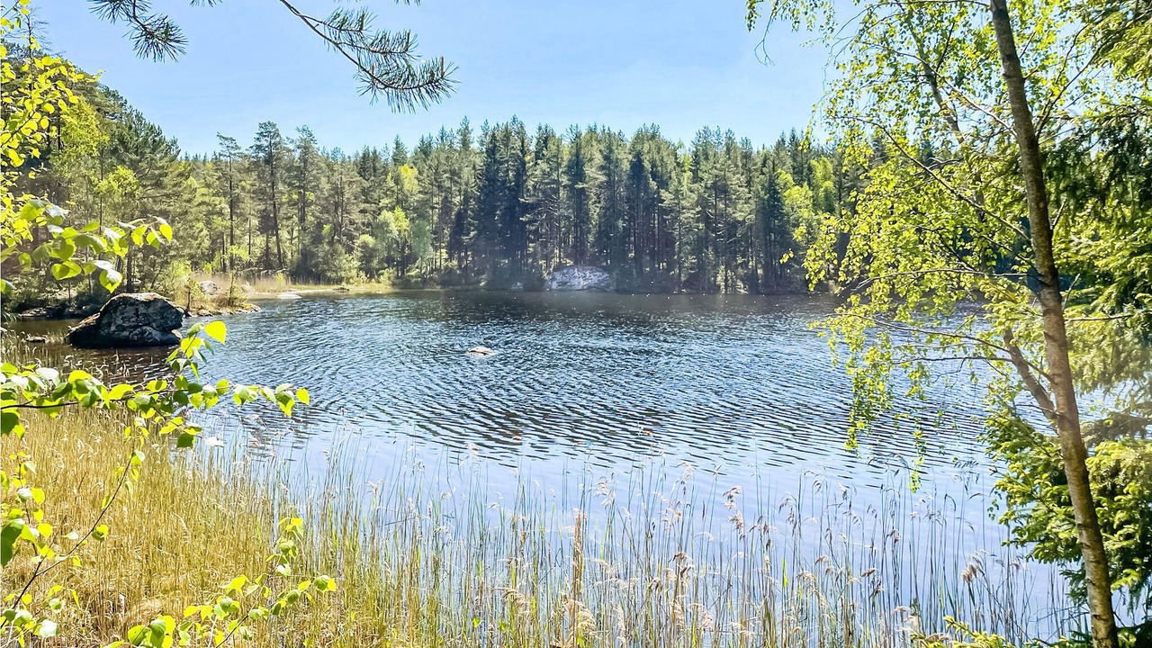 Photo of Others in Ljung