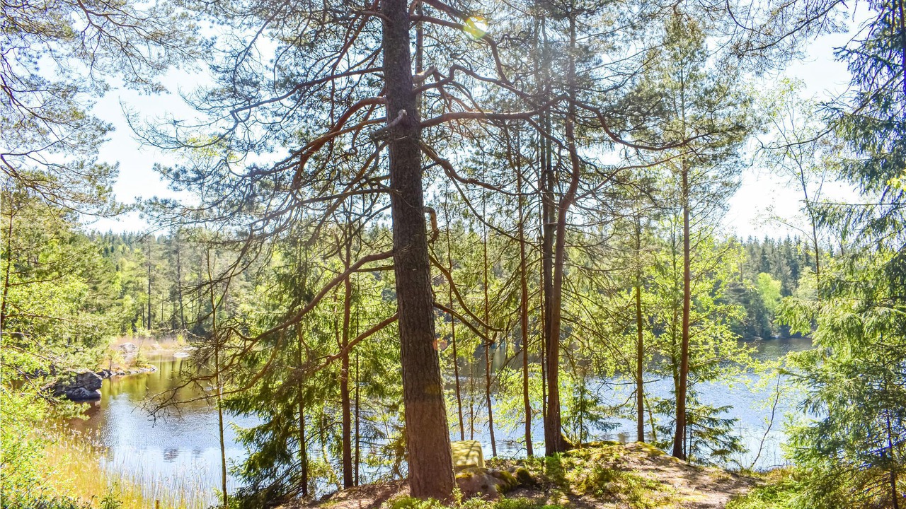 Photo of Others in Ljung