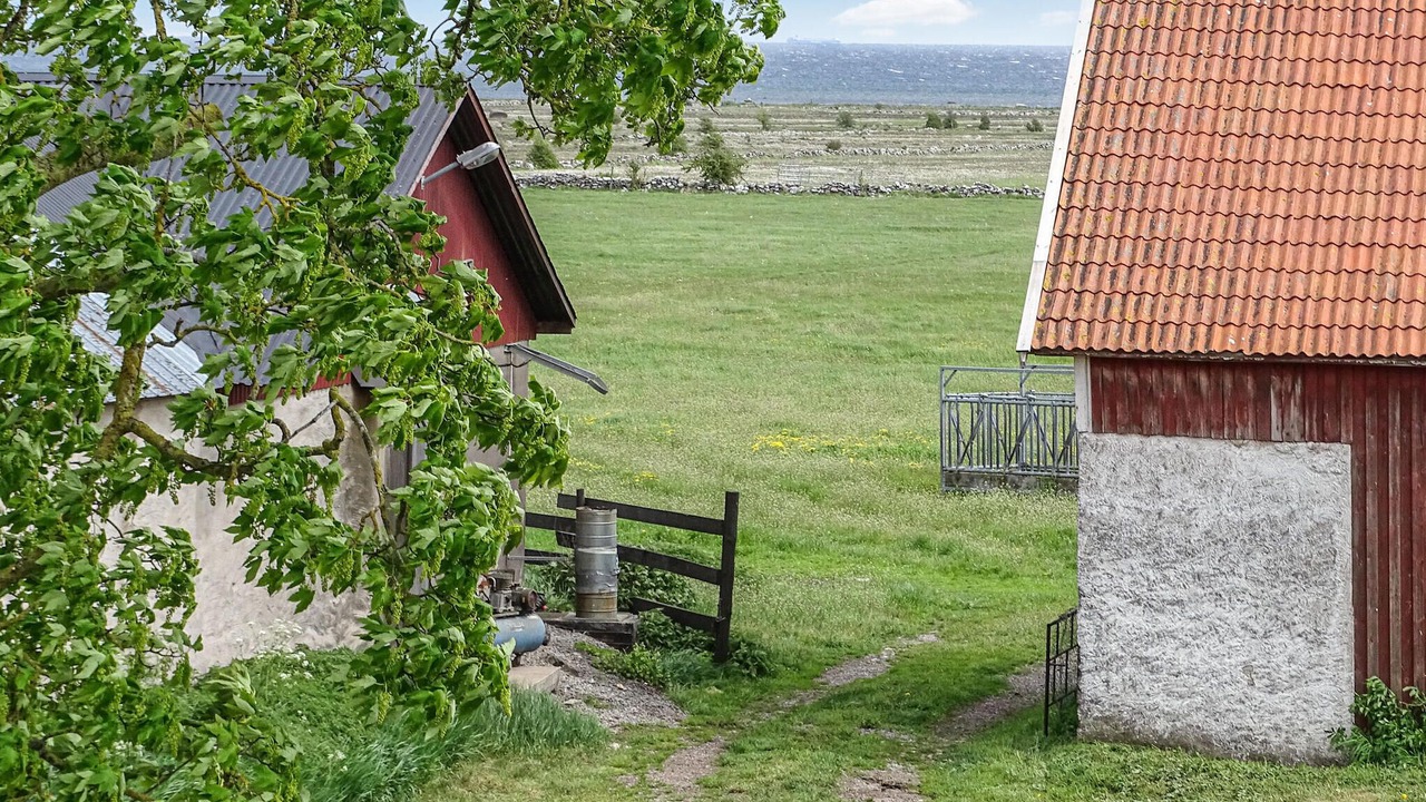Photo of Others in Degerhamn