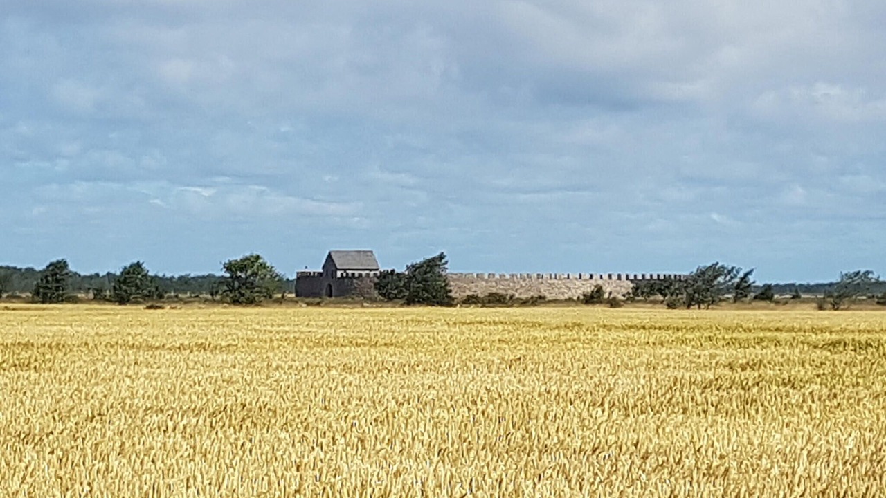 Photo of Others in Degerhamn